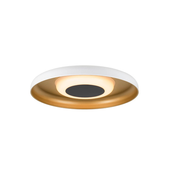 SLV 1010365 MOTUNA, CW, Phase, Wand- und Deckenaufbauleuchte, rund, 2700K, 10W, 130°, weiß / goldfarben
