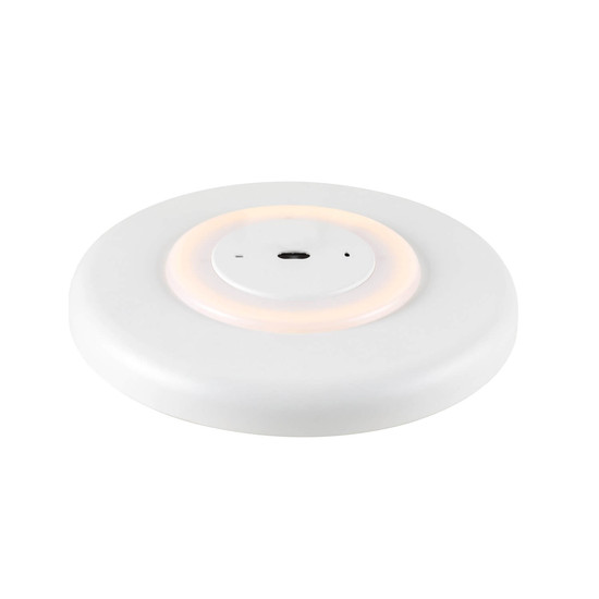 SLV 1010365 MOTUNA, CW, Phase, Wand- und Deckenaufbauleuchte, rund, 2700K, 10W, 130°, weiß / goldfarben