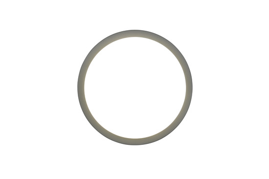 Trio 630369142 Bermejo LED Deckenleuchte 14W ⌀30cm Anthrazit IP54 CCT einstellbare Lichtfarbe