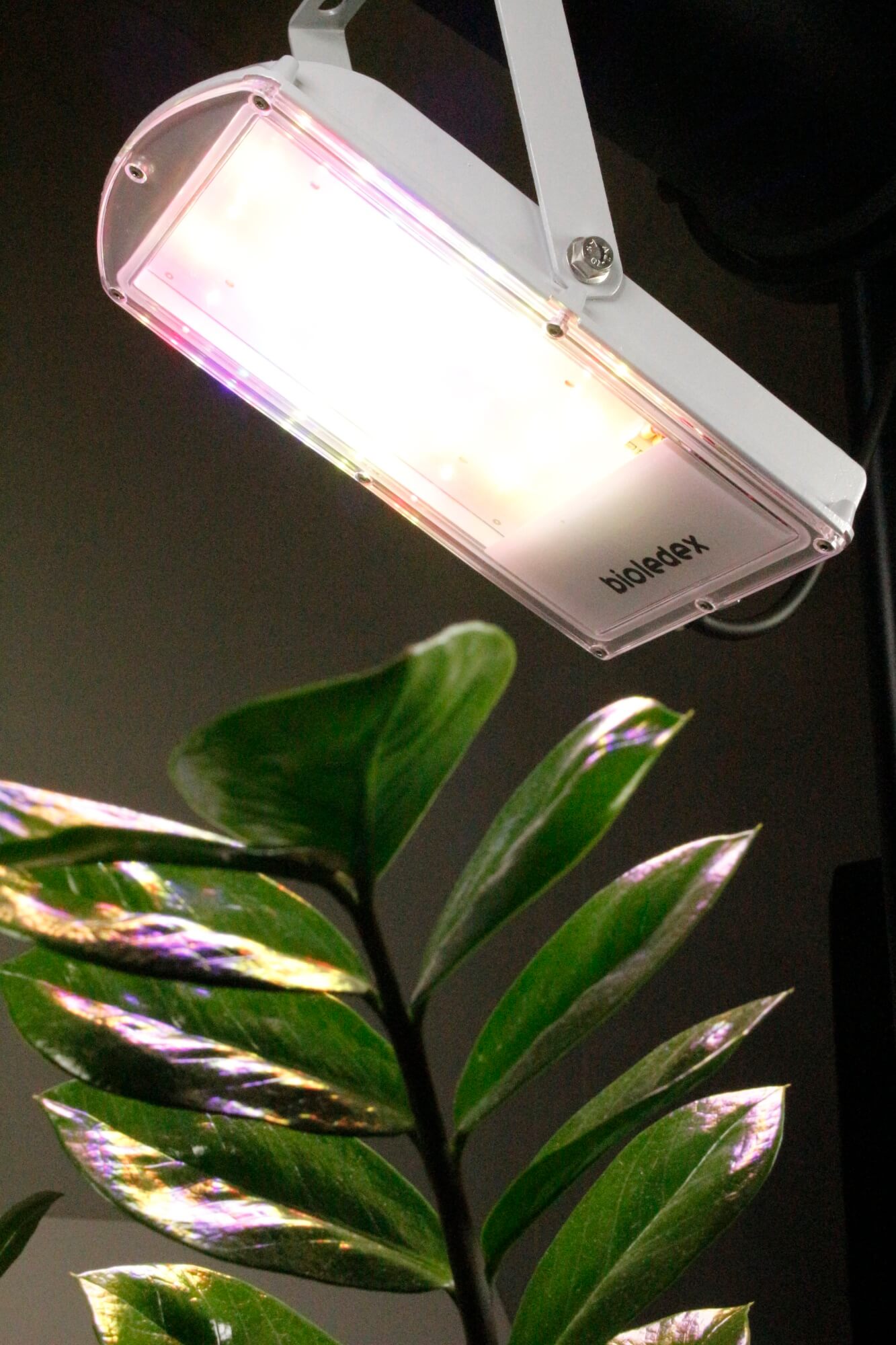 Bioledex GoLeaf LED Pflanzenlampe 20W, Made in Germany, LFL 20S20 20