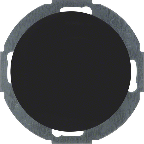 Berker 10092035 Blindverschluss mit Zentralstück Serie R.Classic schwarz. glänzend