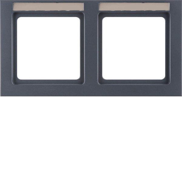 Berker 10226086 Rahmen mit Einsatz-Beschriftungsfeld 2fach waagerecht Q.3 anthrazit. samt