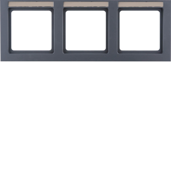 Berker 10236086 Rahmen mit Einsatz-Beschriftungsfeld 3fach waagerecht Berker Q.3 anthrazit. samt