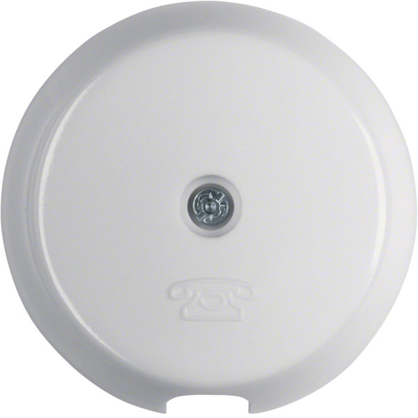 Berker 1037 Z.-Stk. für Kabelauslass Er und VDo-Dose 1930/Glas/Palazzo polarweiß. glänzend