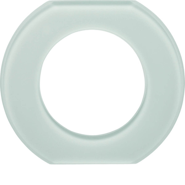Berker 109309 Glasmittelrahmen 1fach Serie Glas polarweiß