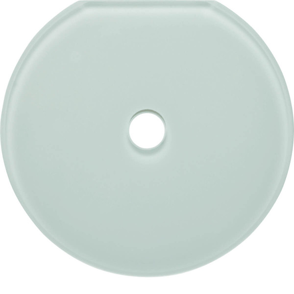 Berker 109409 Glasabdeckendplatte für Drehschalter/-taster Serie Glas polarweiß