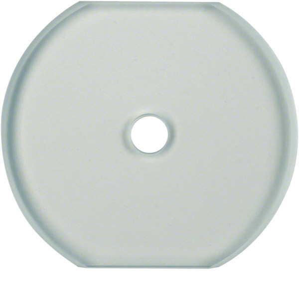 Berker 1095 Glasabdeckmittelplatte für Drehschalter/-taster Serie Glas klar