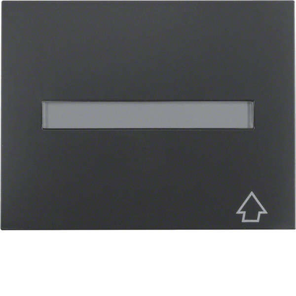 Berker 11547106 Zwischenring mit Klappdeckel und Beschriftungsfeld K.1 anthrazit. matt