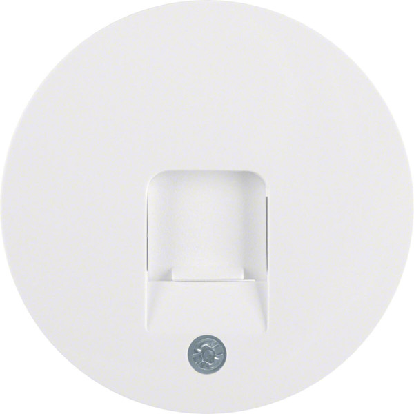 Berker 11702089 Zentralstück mit Staubschutzschieber R.1/R.3 polarweiß. glänzend