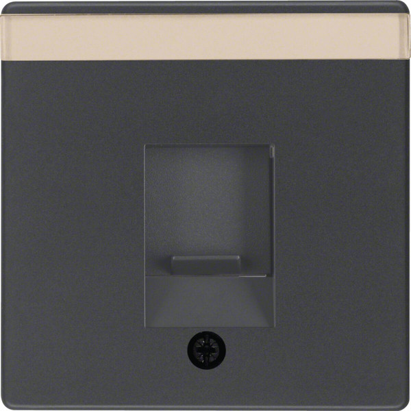 Berker 11706086 Zentralstück mit Staubschutzschieber und Beschriftungsfeld Q.x anthrazit. samt