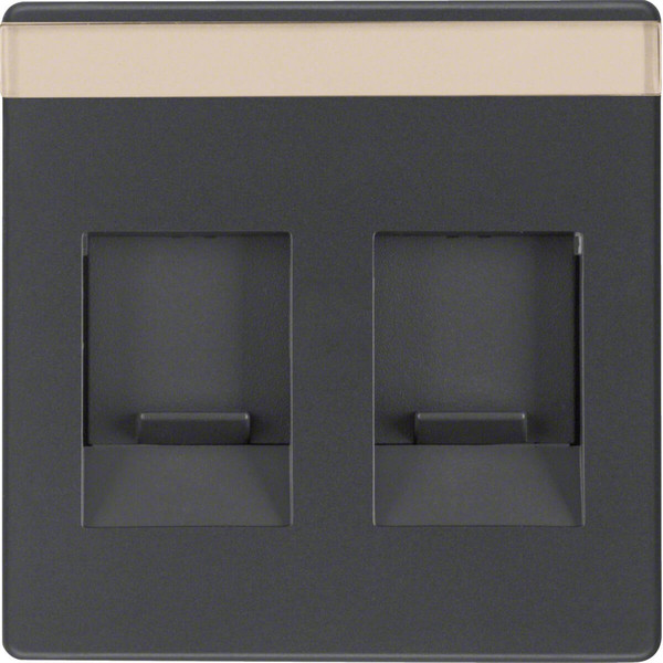 Berker 11816086 Zentralstück mit Staubschutzschiebern und Beschriftungsfeld Q.x anthrazit. samt