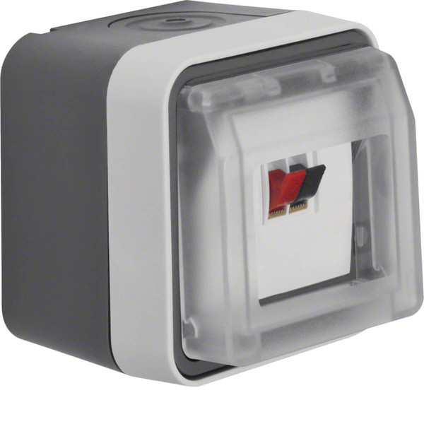 Berker 11963505 Lautsprecher-Anschlussdose AP W.1 grau