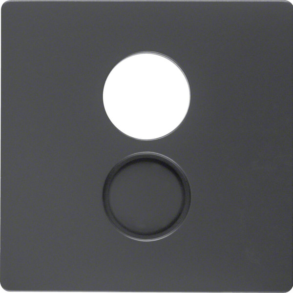 Berker 11966086 Zentralstück für Lautsprecher-Steckdose Q.x anthrazit. samt