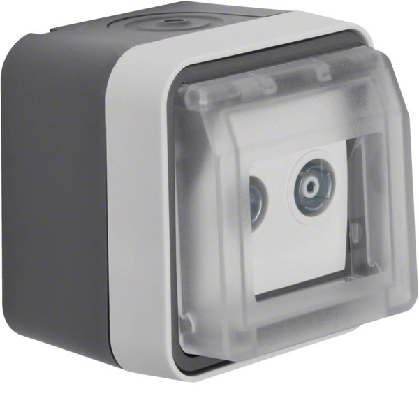 Berker 12033515 Antennen-Steckdose 2Loch Einzeldose AP W.1 grau