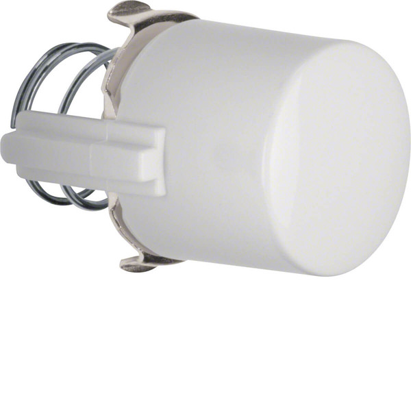 Berker 1225 Tasterknopf f. Druckt. u. Lichtsignal E10 1930/Glas/Palazzo polarweiß. glänzend