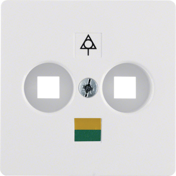 Berker 140309 Zentralplatte für Doppel-Potenzialausgleich-Steckdose polarweiß. glänzend