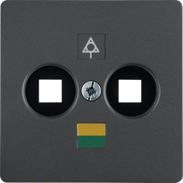 Berker 14031606 Zentralplatte für Doppel-Potenzialausgleich-Steckdose anthrazit. matt