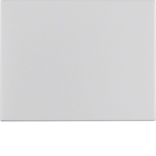 Berker 14057003 Wippe K.5 Alu