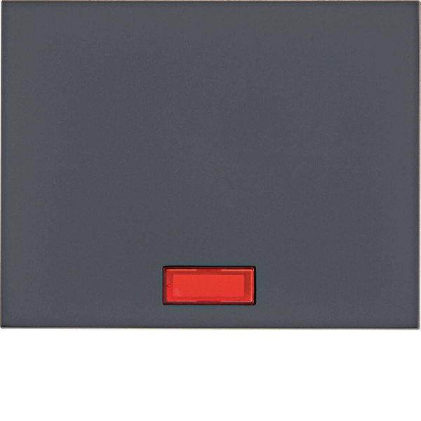 Berker 14157006 Wippe mit 5 beiliegenden Linsen K.1 anthrazit. matt