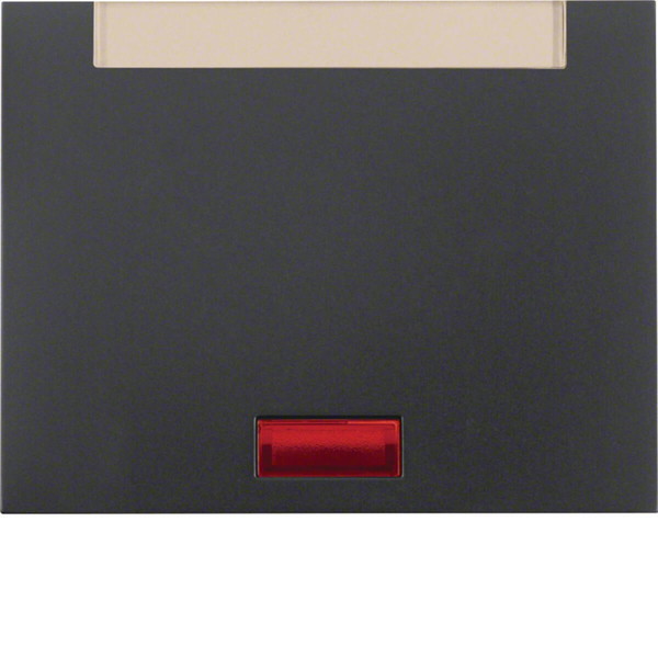 Berker 14157106 Wippe mit 5 beiliegenden Linsen und Beschriftungsfeld K.1 anthrazit. matt