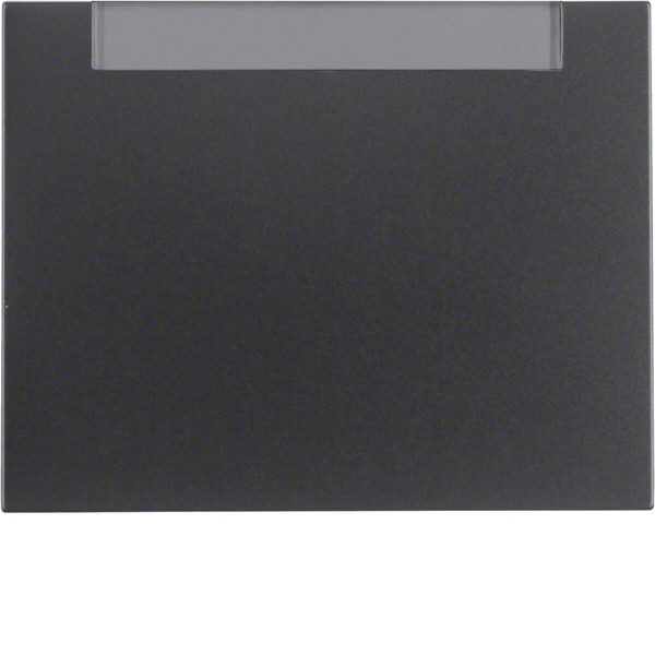 Berker 14267006 Wippe mit Beschriftungsfeld K.1 anthrazit. matt