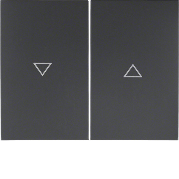 Berker 14357106 Wippe 2fach mit Aufdruck Symbol Pfeil K.1 anthrazit. matt