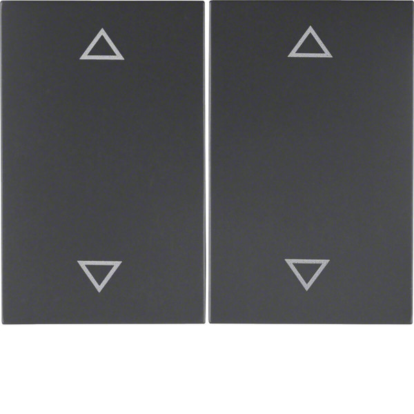 Berker 14357206 Wippe 2fach mit Aufdruck Symbol Pfeile K.1 anthrazit. matt