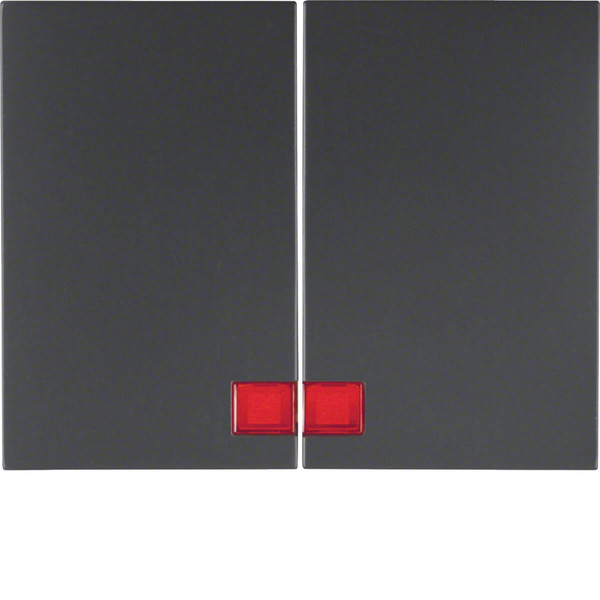 Berker 14377006 Wippe 2fach mit roter Linse K.1 anthrazit. matt
