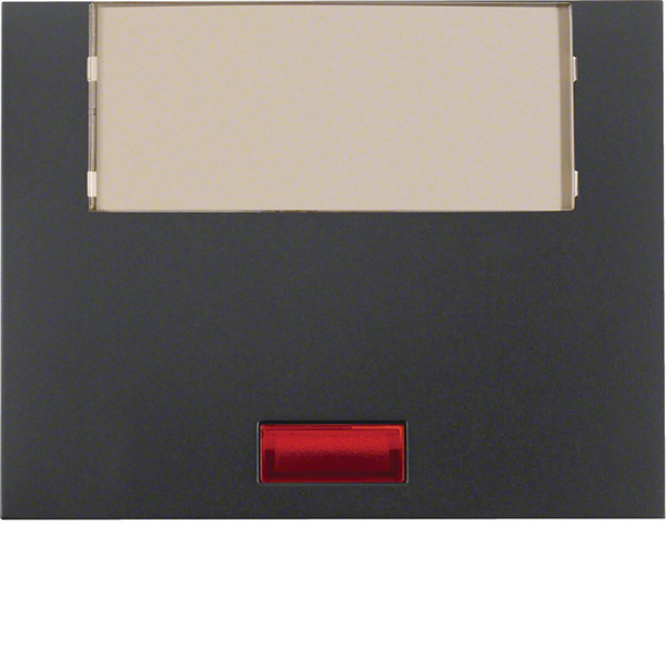 Berker 14967006 Wippe mit 5 beiliegenden Linsen und großem Beschriftungsfeld K.1 anthrazit. matt