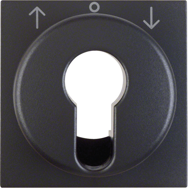 Berker 15061606 Zentralstück für Jalousie-Schlüsselschalter/-taster S.1/B.3/B.7 anthrazit. matt