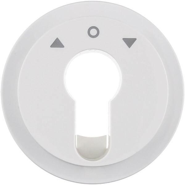 Berker 15062089 Zentralstück für Jal. Schlüsselsch./-taster. R.1/R.3. polarw. gl.