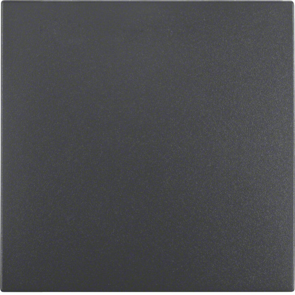 Berker 16201606 Wippe S.1/B.3/B.7 anthrazit. matt
