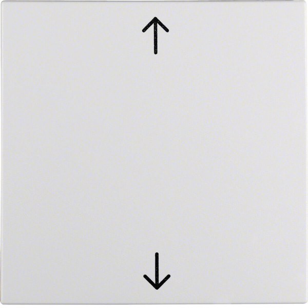 Berker 16201919 Wippe mit Aufdruck Symbol Pfeile S.1/B.3/B.7 polarweiß. matt