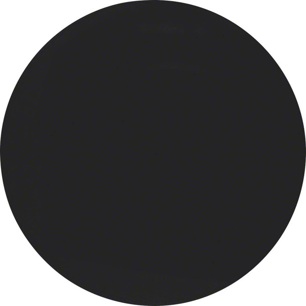 Berker 16202045 Wippe R.1/R.3 schwarz. glänzend