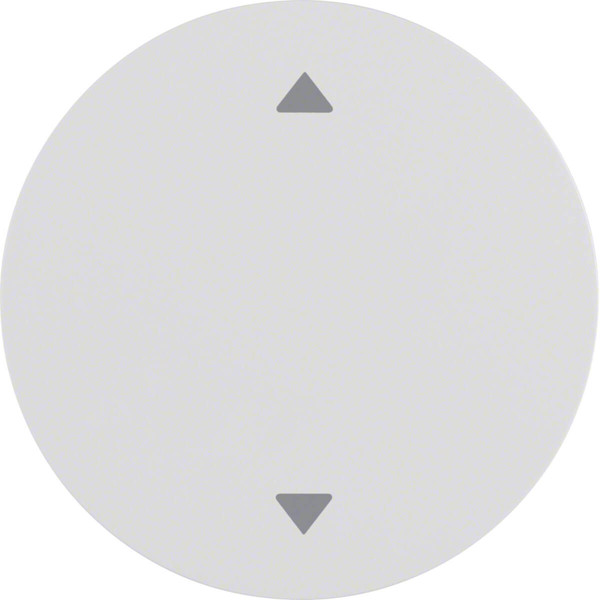 Berker 16202049 Wippe mit Aufdruck Symbol Pfeile R.1/R.3 polarweiß. glänzend
