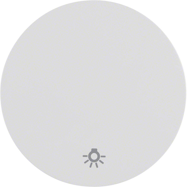 Berker 16202079 Wippe mit Aufdruck Symbol Licht R.1/R.3 polarweiß. glänzend