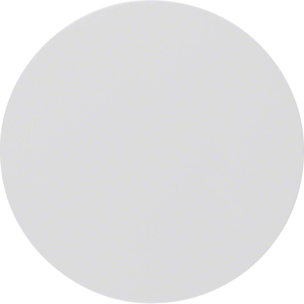 Berker 16202089 Wippe R.1/R.3 polarweiß. glänzend