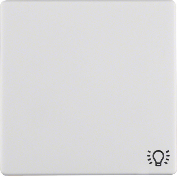 Berker 16206049 Wippe mit Aufdruck Symbol Licht Q.x polarweiß. samt