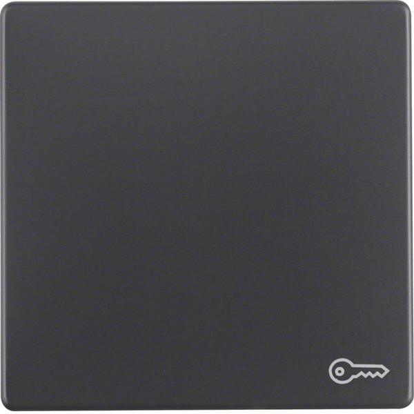 Berker 16206066 Wippe mit Aufdruck Symbol Tür Q.x anthrazit. samt