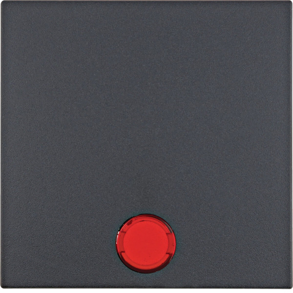 Berker 16211606 Wippe mit 5 beiliegenden Linsen S.1/B.3/B.7 anthrazit. matt