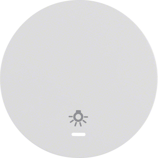 Berker 16212079 Wippe mit klarer Linse und Aufdruck Symbol Licht R.1/R.3 polarweiß. glänzend