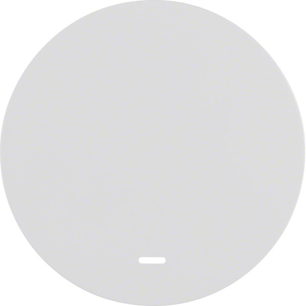 Berker 16212089 Wippe mit klarer Linse R.1/R.3 polarweiß. glänzend