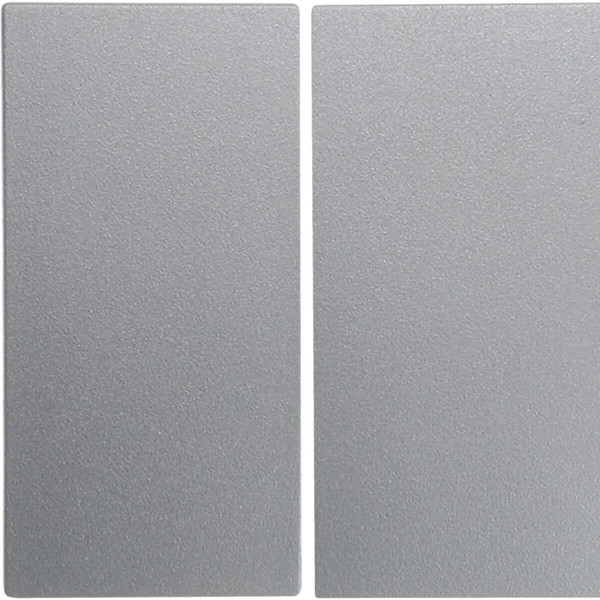 Berker 16231404 Wippe 2fach S.1/B.3/B.7 alu. matt