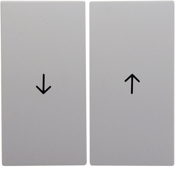 Berker 16251909 Wippe 2fach mit Aufdruck Symbol Pfeil S.1/B.3/B.7 polarweiß. matt