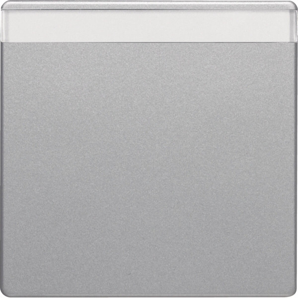 Berker 16266084 Wippe mit Beschriftungsfeld Q.x alu samt. lackiert