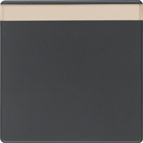 Berker 16266086 Wippe mit Beschriftungsfeld Q.x anthrazit. samt