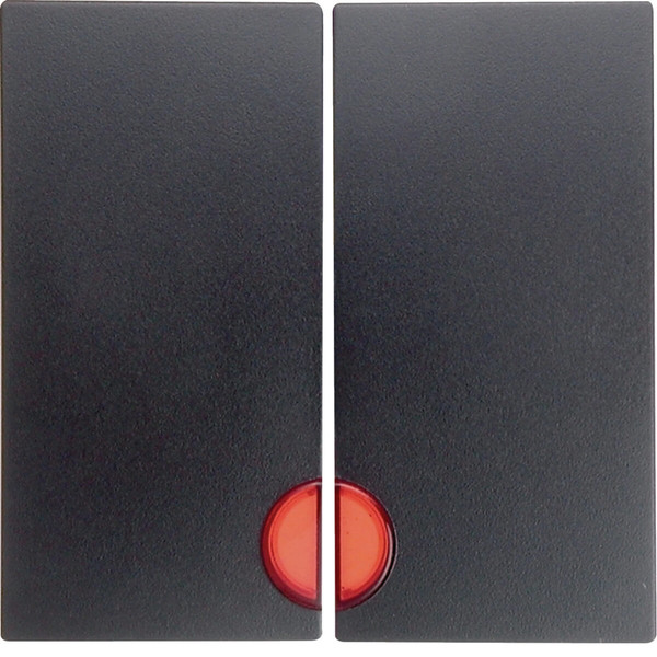 Berker 16271606 Wippe 2fach mit roter Linse S.1/B.3/B.7 anthrazit. matt