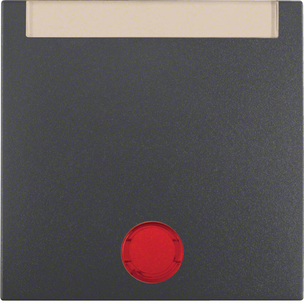 Berker 16281606 Wippe m. 5 beiliegenden Linsen und Beschriftungsfeld S.1/B.3/B.7 anthrazit. matt