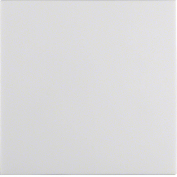 Berker 16298989 Wippe mit Befestigungsstück S.1 IP44 polarweiß glänzend