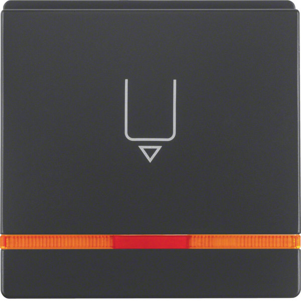 Berker 16406086 Hotelcard-Schaltaufsatz mit Aufdruck und oranger Linse Q.x anthrazit. samt